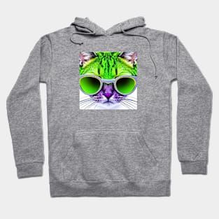 Coolest cat #6 Hoodie